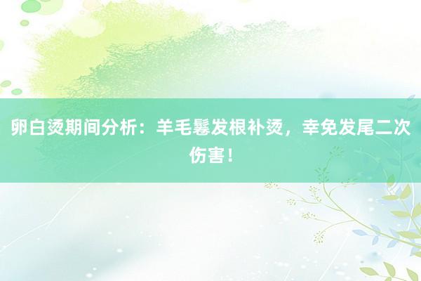 卵白烫期间分析：羊毛鬈发根补烫，幸免发尾二次伤害！
